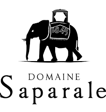 Logo Saparale.png